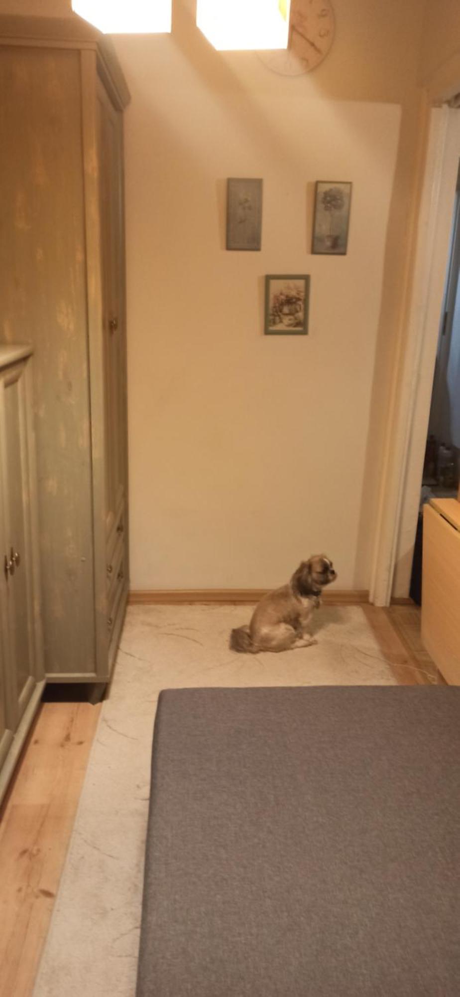 Cichy Zakatek Kolobrzeg Daire Dış mekan fotoğraf